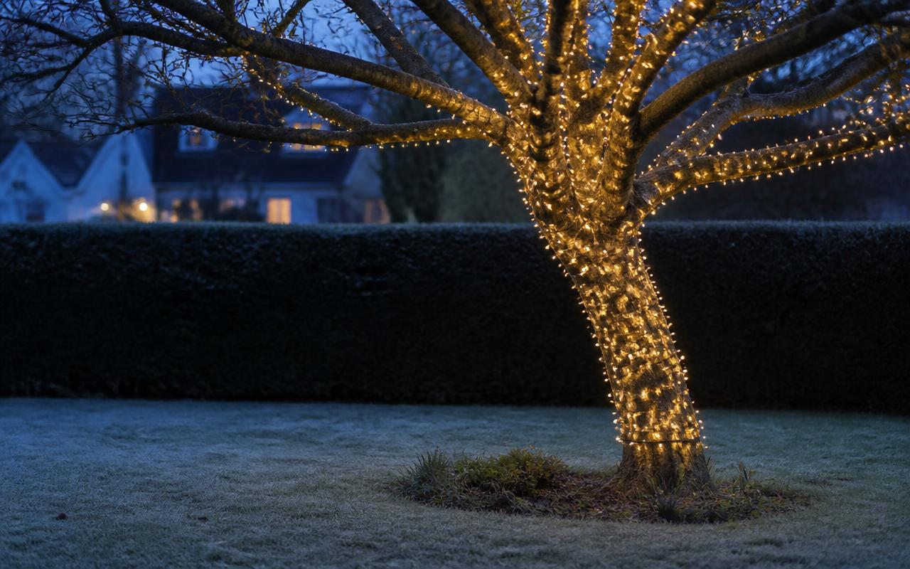 How to Light an Outdoor Tree for Christmas (The Right Way)