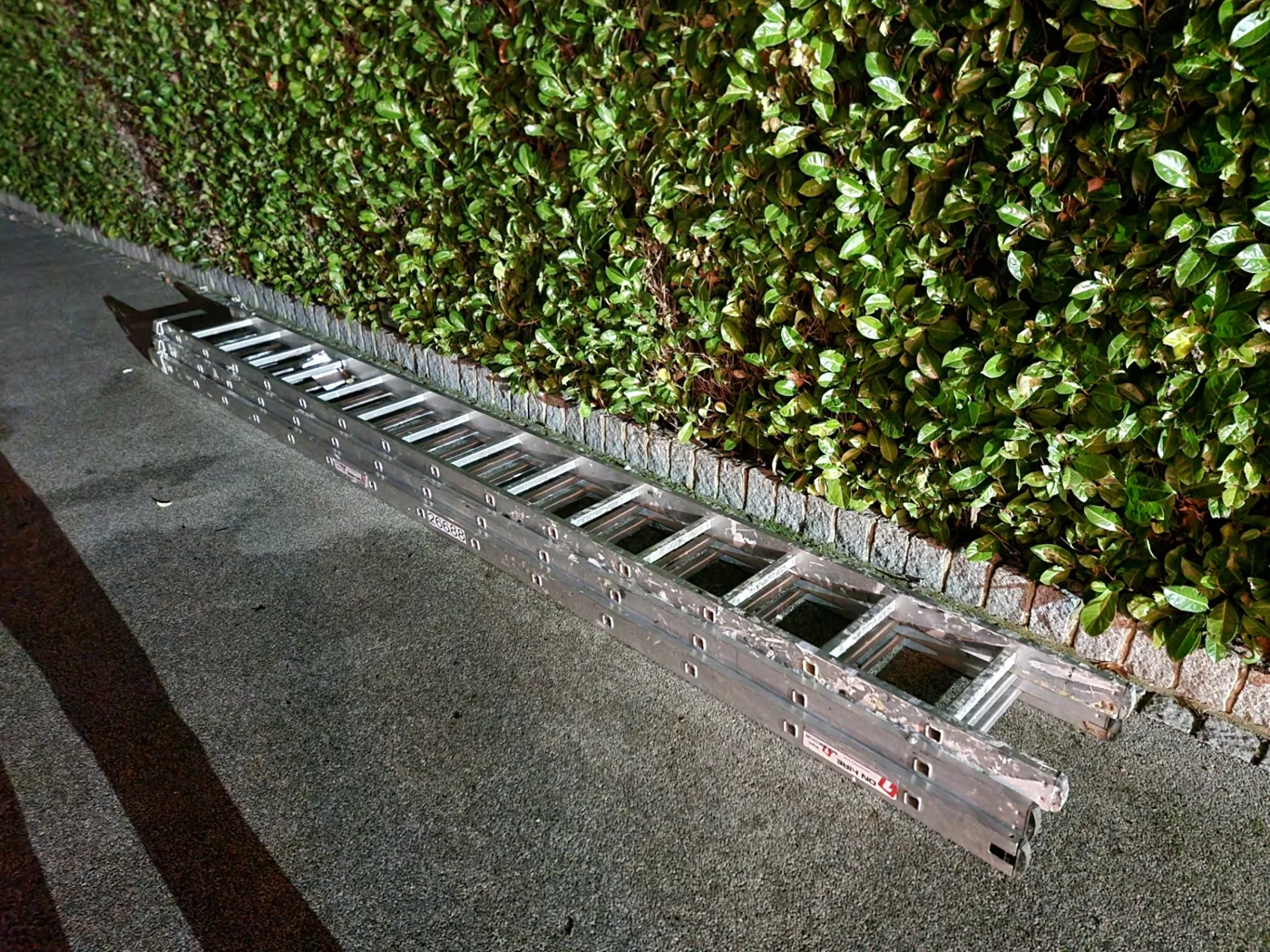 Triple extension ladder laid out beside a hedge before work at height