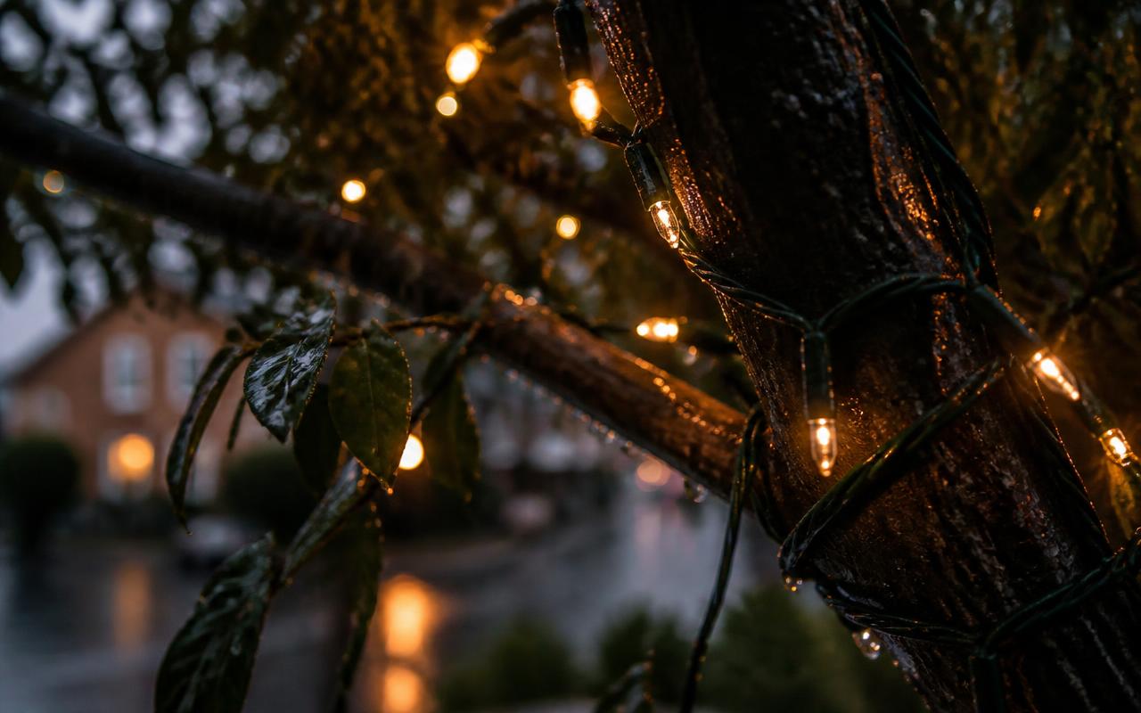 Waterproof Outdoor Christmas Lights: IP Ratings, Connectors & British Weather